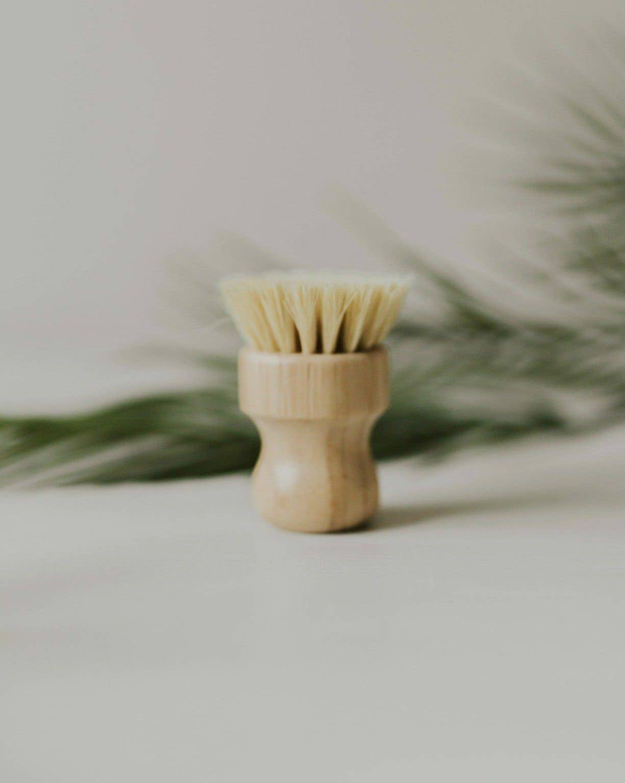 Bamboo Dish Brush