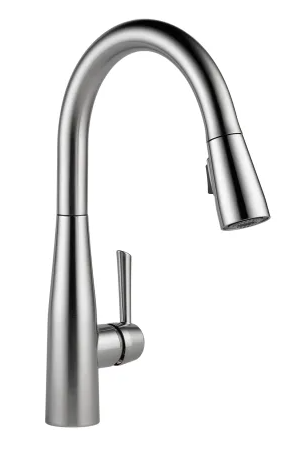 Essa Kitchen Faucet