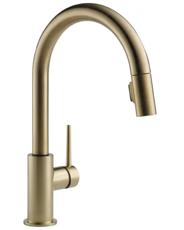 Trinsic Kitchen Faucet